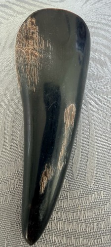 Vintage polished bovine horn - vintage,