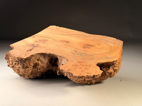 Cap burr elm live - edge, resin