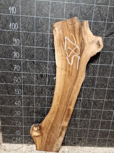 English walnut slab live - english,