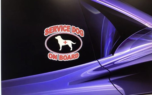 Lot service dog - of,