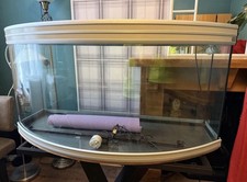 Bow Front Aquarium