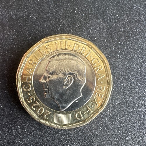 2025 bee coin - 2025,