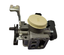 New Genuine Throttle Body For