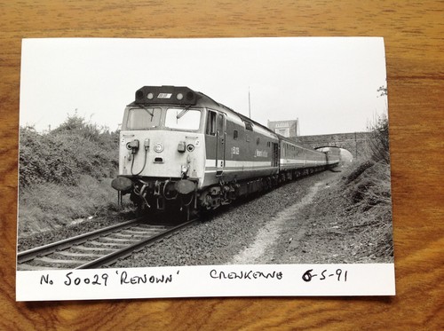Photograph 50029 renown - photograph,