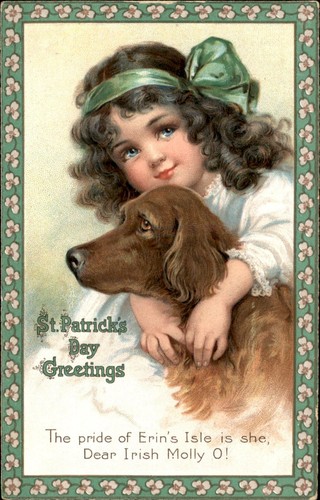 Little girl irish setter dog - little,
