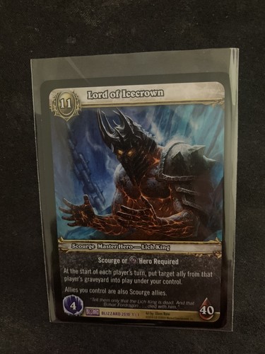 World warcraft tcg lord - warcraft, of