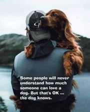 Inspirational dog  Irish