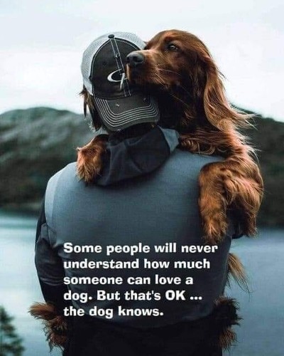 Inspirational dog irish - inspirational,