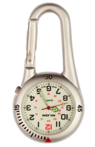 Silver clip carabiner - silver,