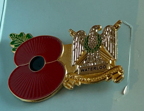 The royal scots dragoon guards - the,