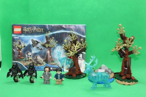 Lego harry potter expecto - harry,