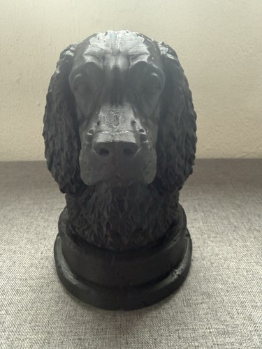 20cm springer spaniel - springer,