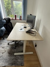   Electric Standing Desk