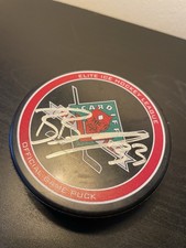 Cardiff devils ice hockey - cardiff,