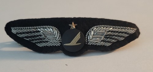 Piedmont airlines captain - airlines, captain's