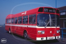 Bus Photo - United Automobile