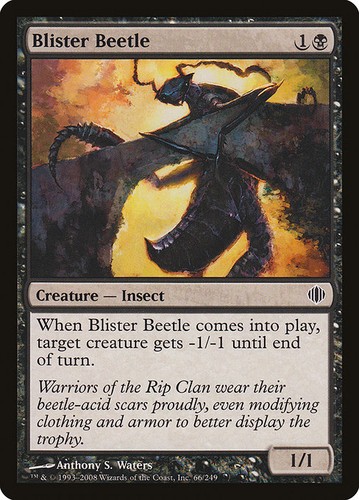Mtg blister beetle - beetle, (066)