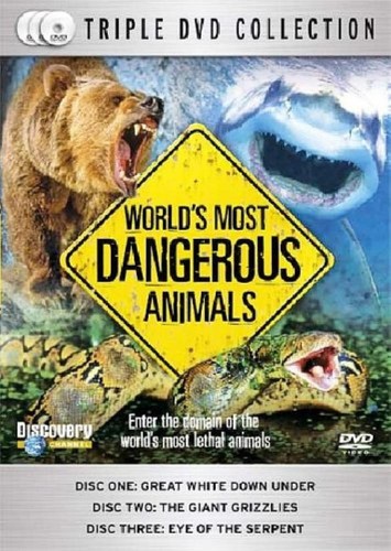 World most dangerous animals - most,