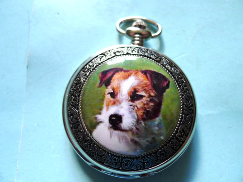 Ravel terrier fronted qtz - ravel,