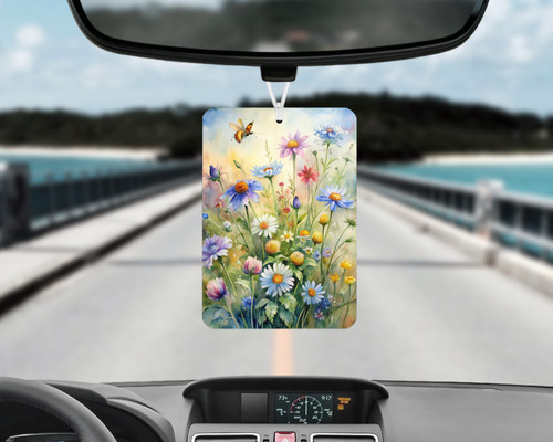 Meadow daisies car - daisies,