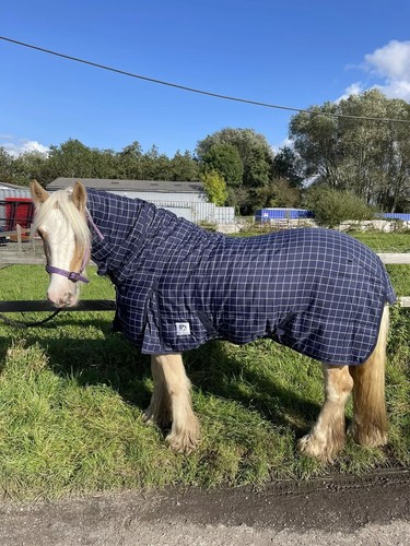 Horsemasters stable horse - stable,