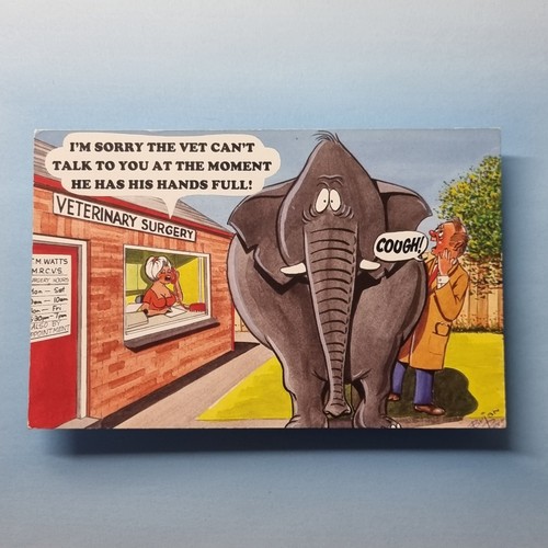 Comic postcard vetinary - comic,