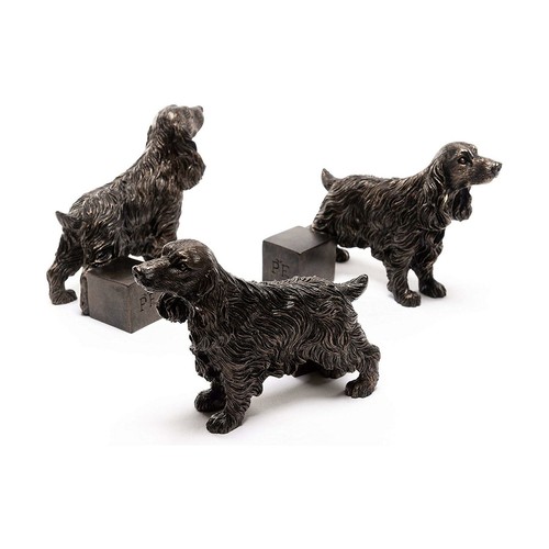 Potty feet cocker spaniel - feet, dog