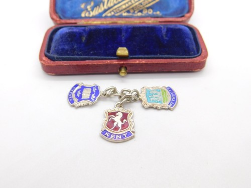 Sterling silver enamel - sterling, +