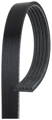 Ribbed belt 5pk868sf - belt,