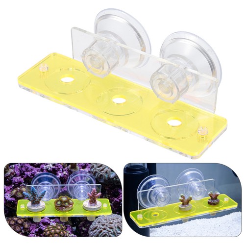 Coral rack with double suction - coral,