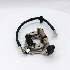 Stator Plate For Electric