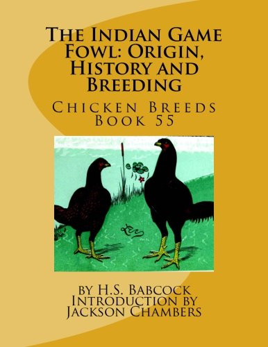 The indian game fowl origin - game, fowl: