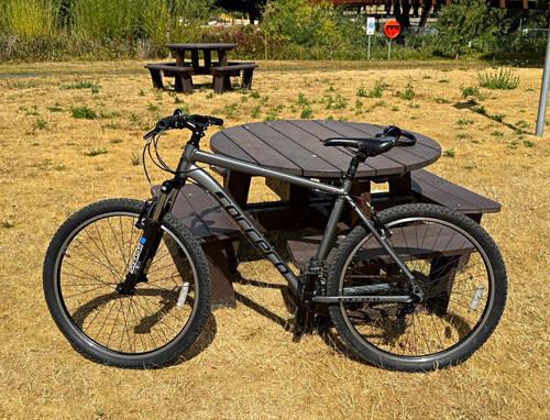 Carrera valour 5in mountain - 27.5in,