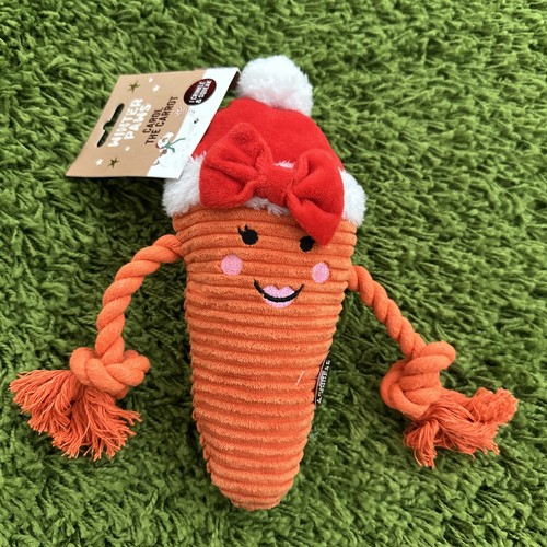 Christmas festive carol carrot