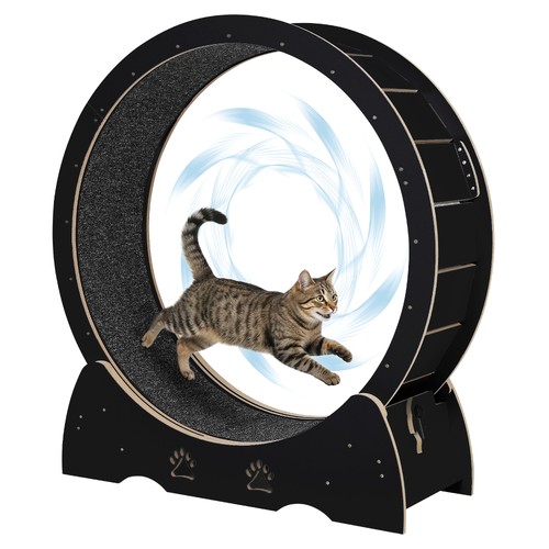 Low noise wooden cat exercise - low,