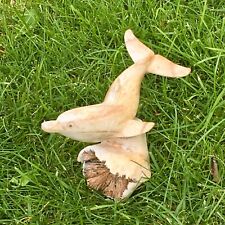 Wooden Dolphin Swimming on