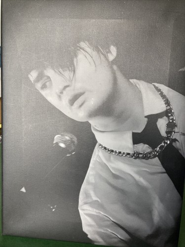 Peter doherty portrait canvas - doherty,