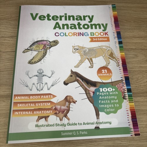Veterinary anatomy coloring - veterinary,