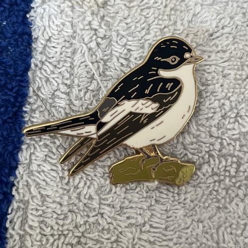 Lanius bird pied flycatcher - bird,