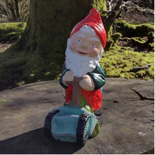 Garden gnome robert - ~, ~