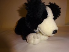 Jess Border Collie Puppy Dog