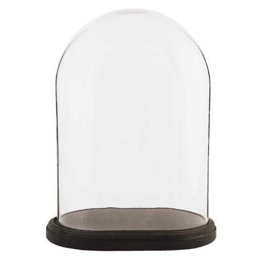 Glass display bell jar oval - bell,