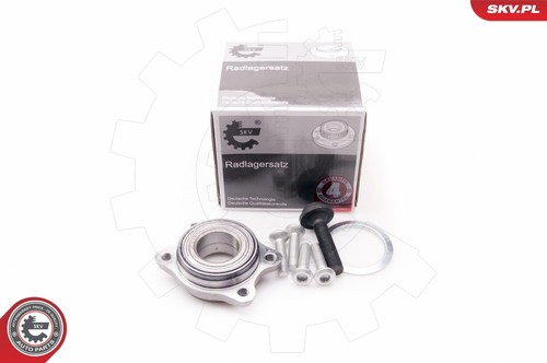 Wheel bearing kit esen - esen, skv