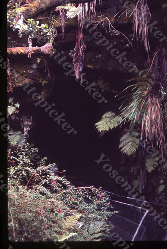 Sl82 original slide - , 1964