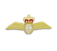 Fleet Air Arm Lapel Badge