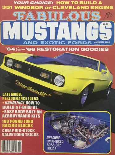 Fabulous mustangs and exotic - mustangs,