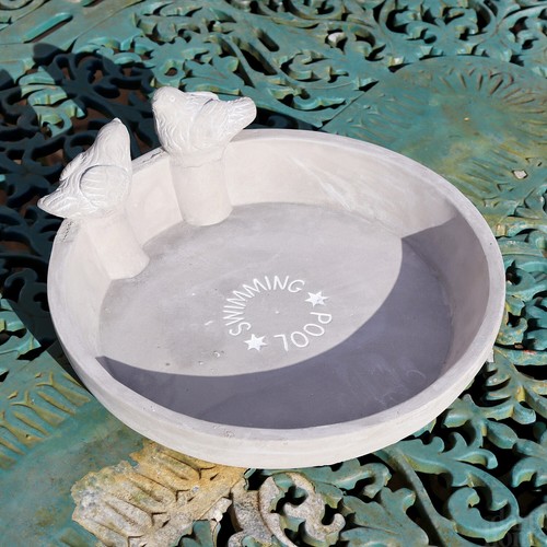 Swimming pool bird bath - swimming,