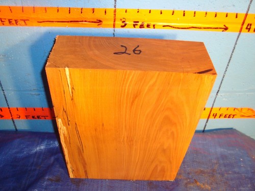 Spalted beech turning - ,