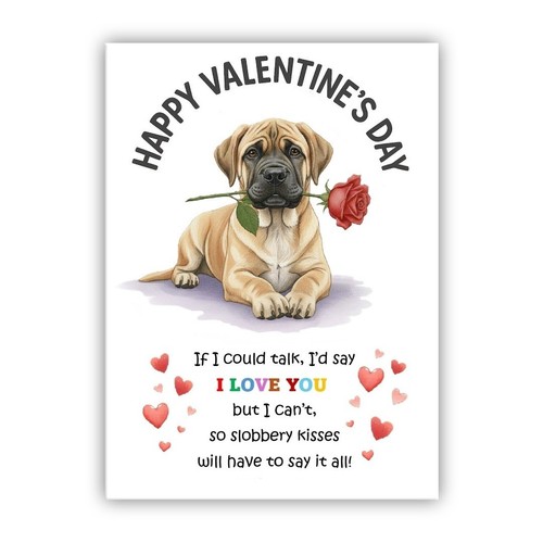 English mastiff dog - english,