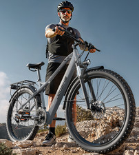 29" All-terrain E-Mountain